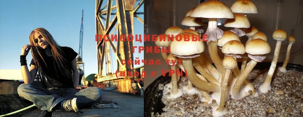 стафф Нягань