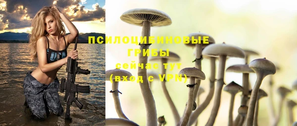 экстази Няндома